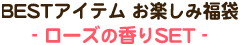 BEST�A�C�e���@�y���ݕ���