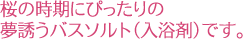 �o�X�\���g