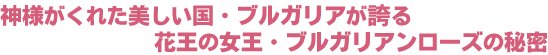 �u���K���A�����[�Y�̔閧