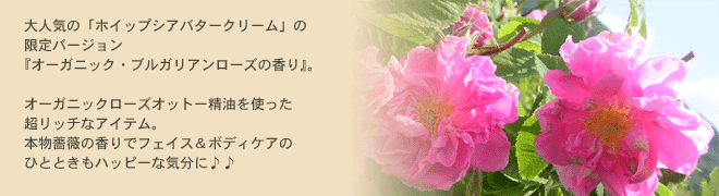 �z�C�b�v�V�A�o�^�[�N���[��