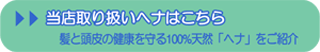 ���X��舵���w�i