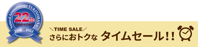 22周年記念タイムセール