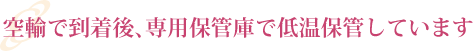 空輸で到着後、専用保管室で低温保管しています