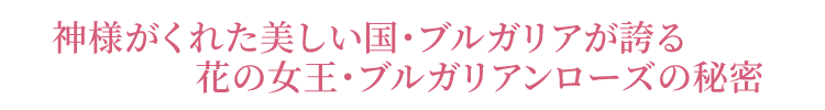 ブルガリアンローズの秘密