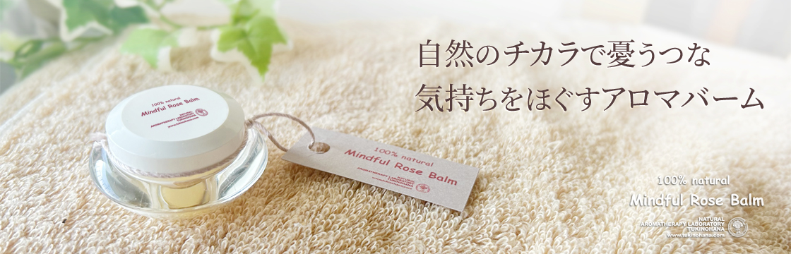 24年9月購入美品】WINAROMA ワイナロマ 香りのエッセンスワイン 24年9月購入美品】WINAROMA ワイナロマ 香りのエッセンスワイン